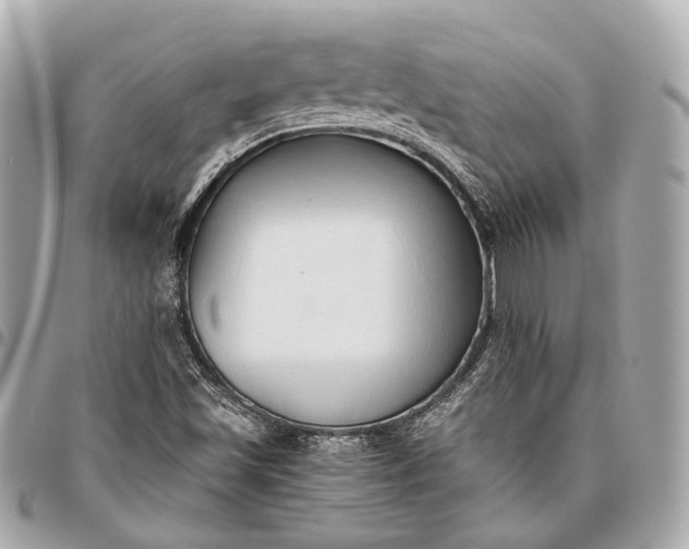 X0000096461501200802071822