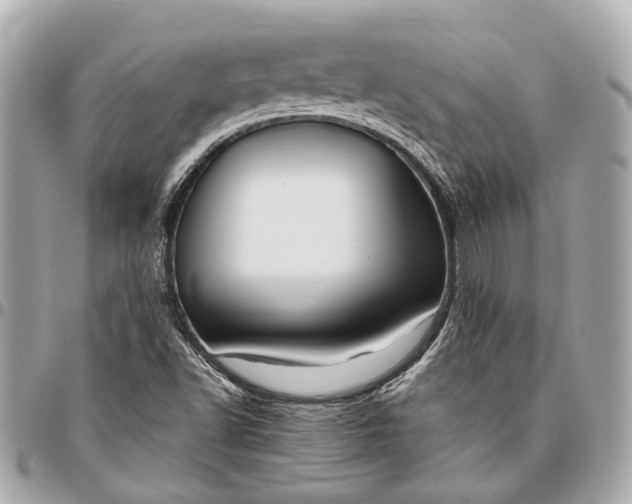 X0000096461502200802071822