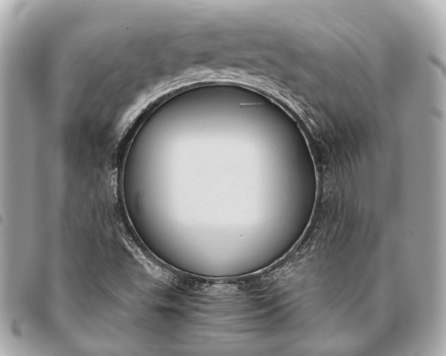 X0000096461503200802071822