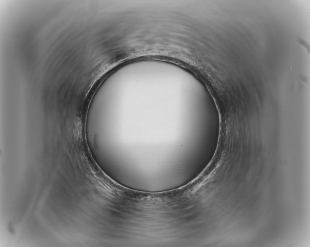X0000096461505200802071822
