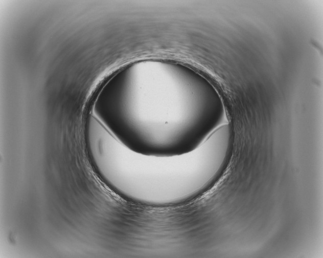 X0000096461506200802071822