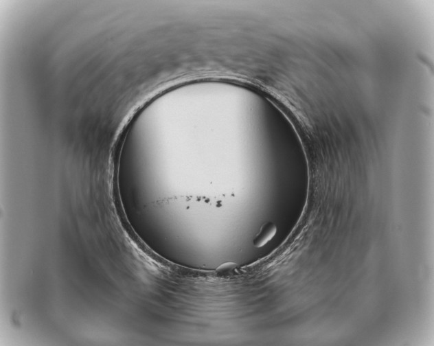X0000096461508200802071822