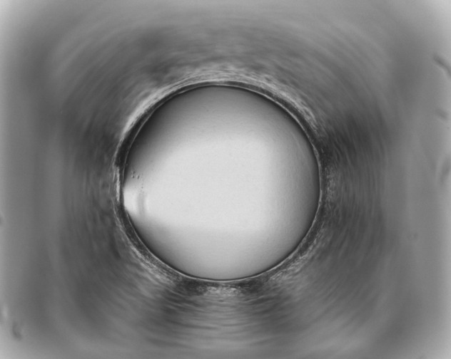 X0000096461509200802071823