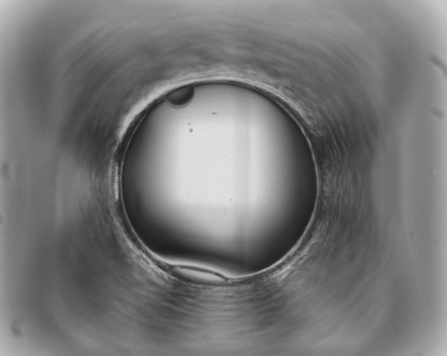 X0000096461510200802071823