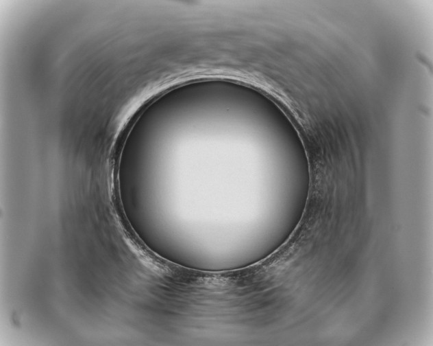 X0000096461511200802071823