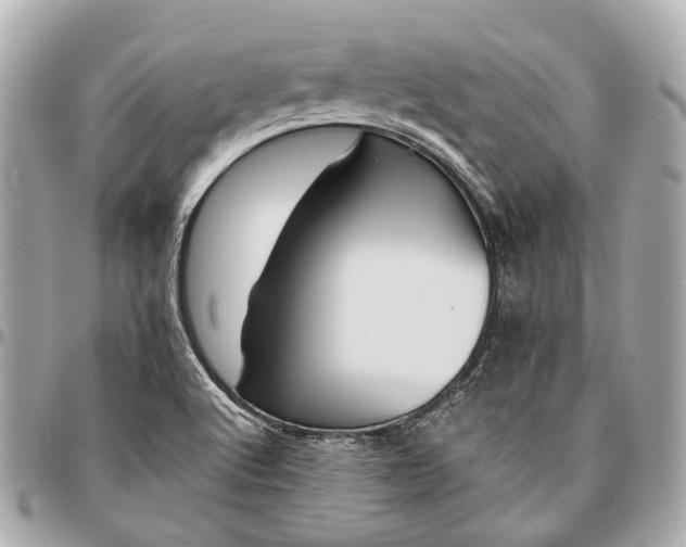 X0000096461512200802071823