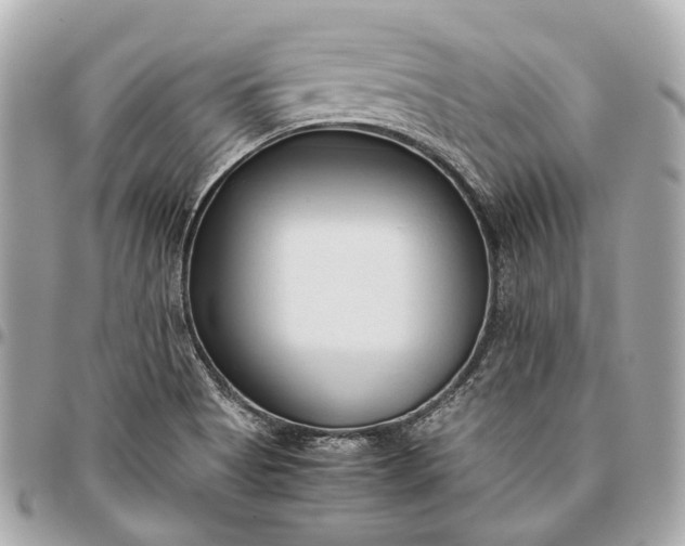 X0000096461513200802071823