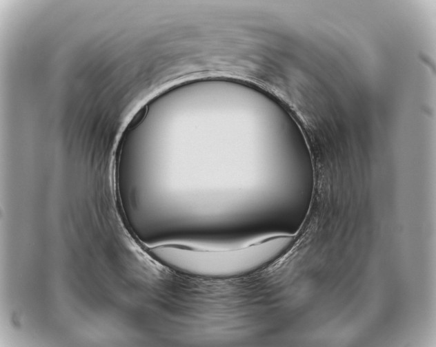 X0000096461516200802071823