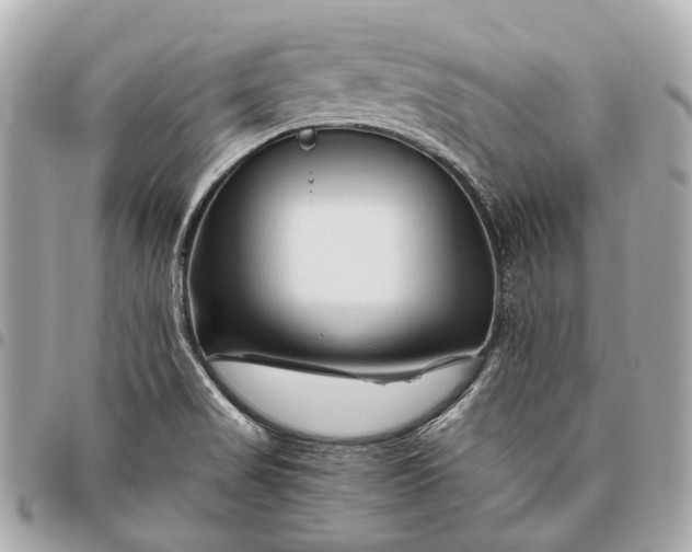 X0000096461517200802071823