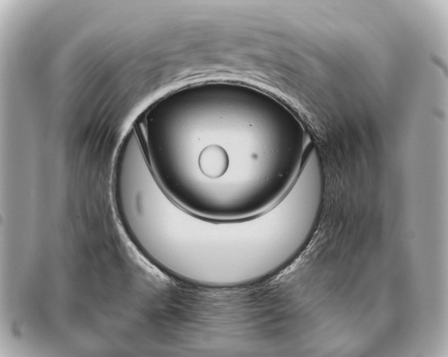X0000096461518200802071823
