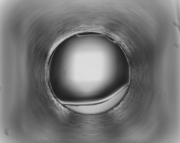 X0000096461520200802071823