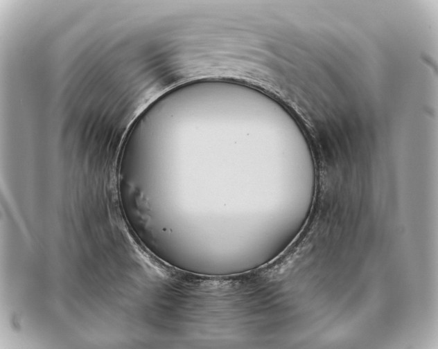 X0000096461521200802071823