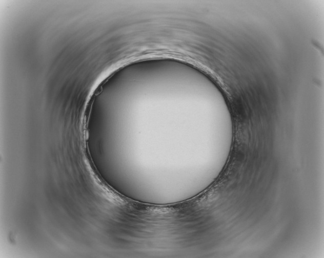 X0000096461522200802071823