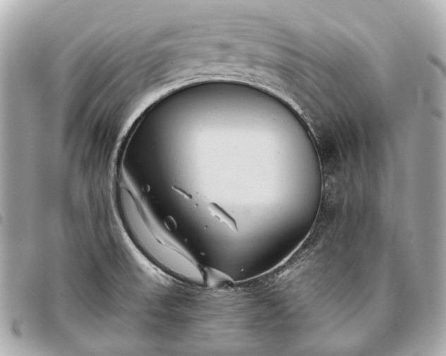 X0000096461523200802071823