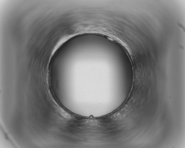 X0000096461525200802071823