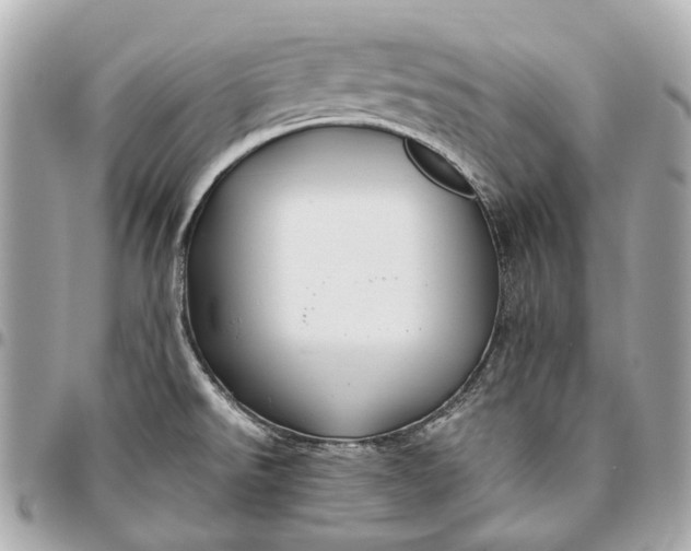 X0000096461526200802071823