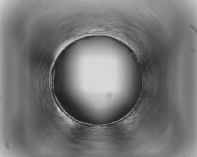 X0000096461527200802071823