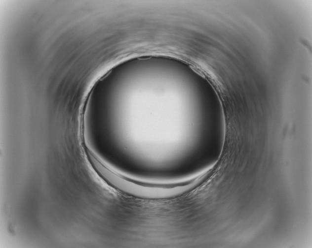 X0000096461528200802071823