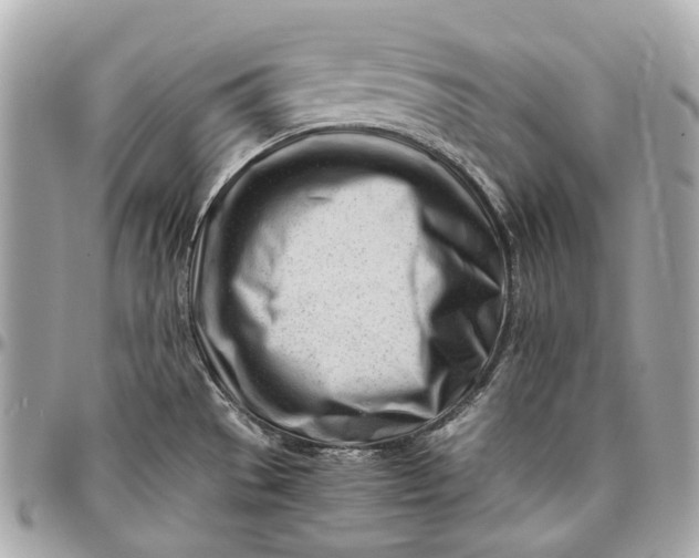 X0000096461529200802071823