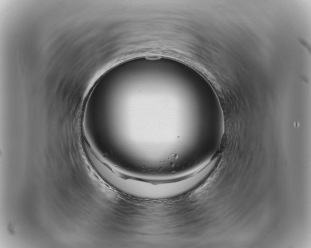 X0000096461530200802071823