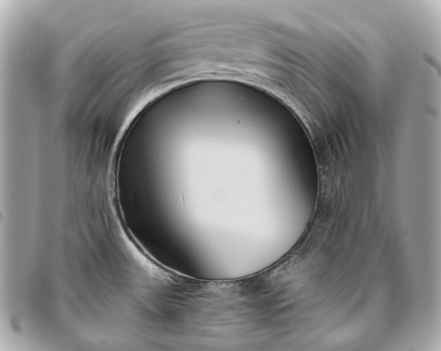 X0000096461531200802071823