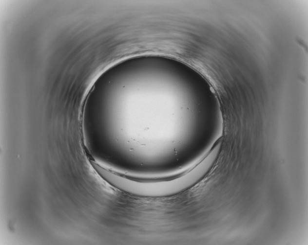 X0000096461532200802071823