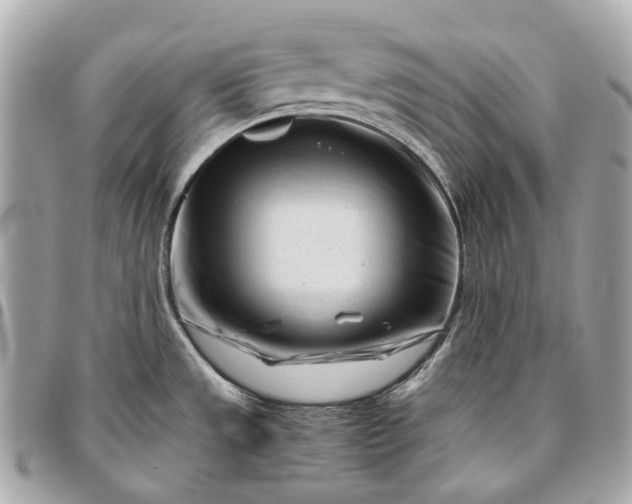 X0000096461533200802071823