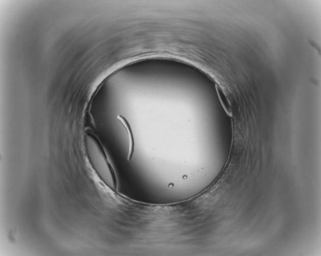 X0000096461534200802071823