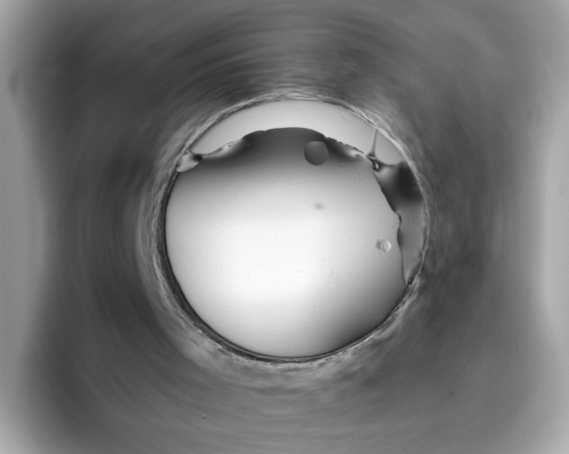 X0000096460001200802141541