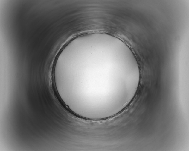 X0000096460002200802141541
