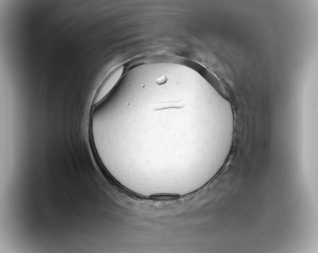 X0000096460003200802141541