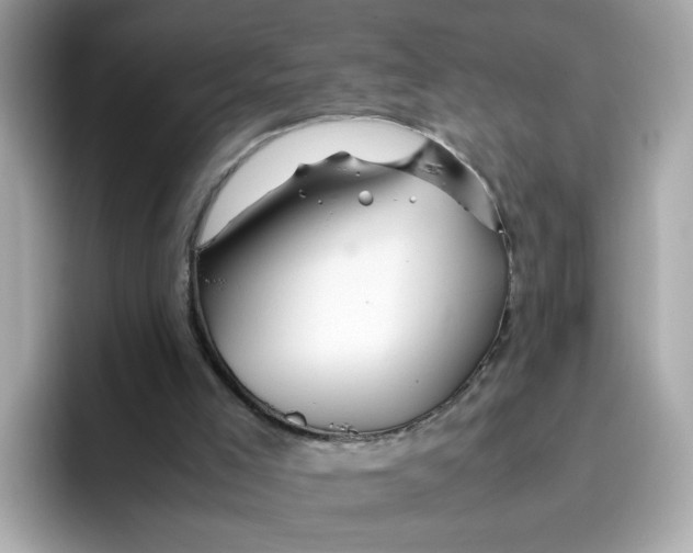X0000096460005200802141541