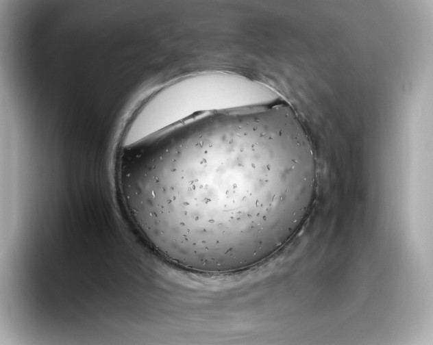 X0000096460006200802141541