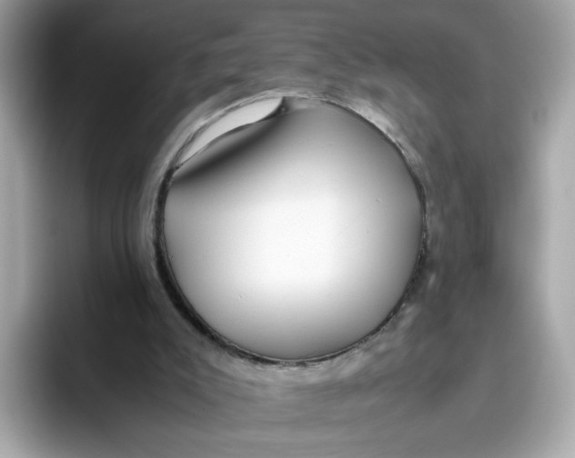 X0000096460007200802141541