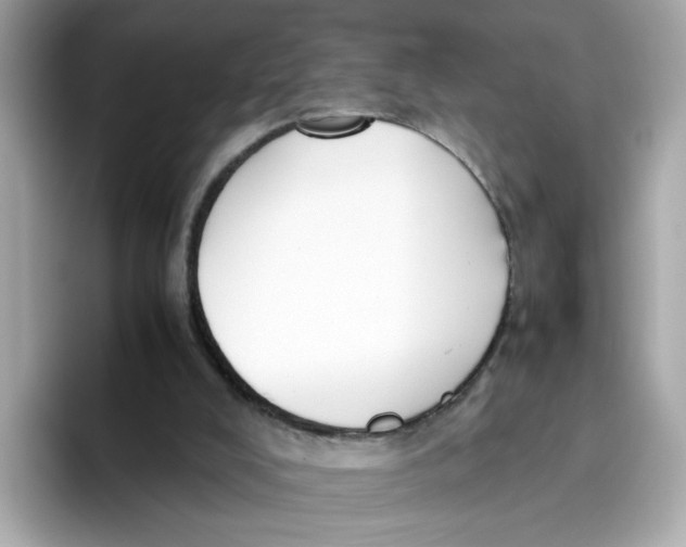 X0000096460008200802141541