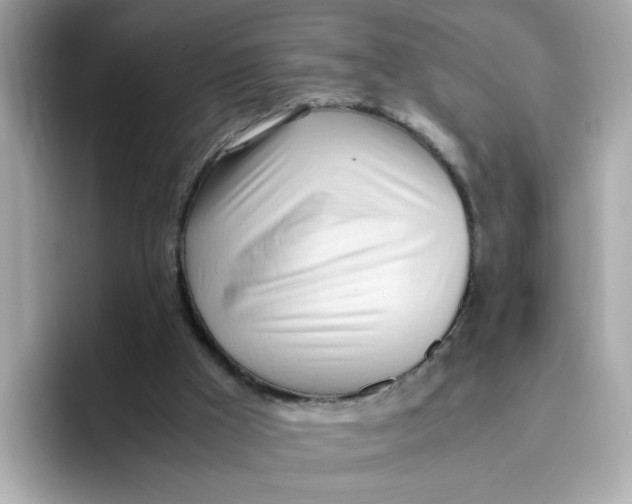 X0000096460009200802141541