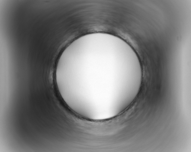 X0000096460010200802141541