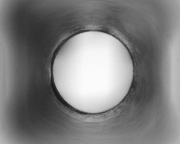 X0000096460011200802141541