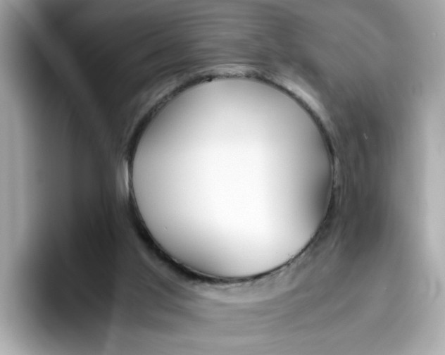 X0000096460013200802141541