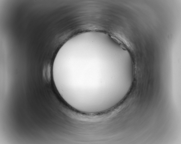 X0000096460014200802141541