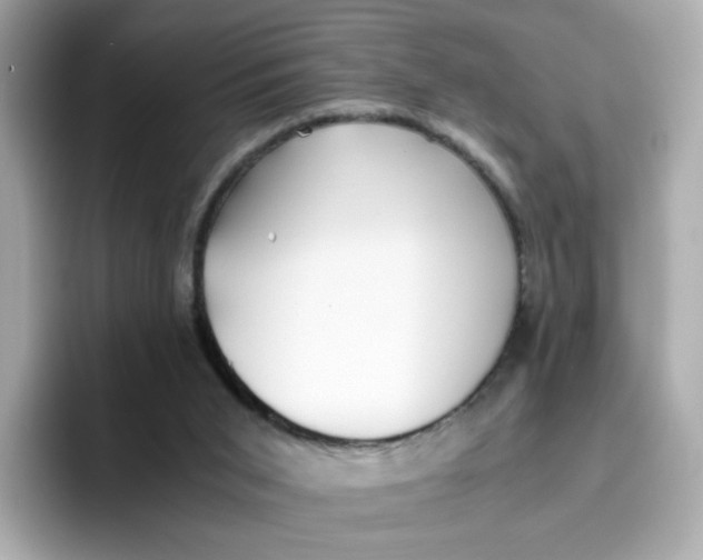 X0000096460015200802141541