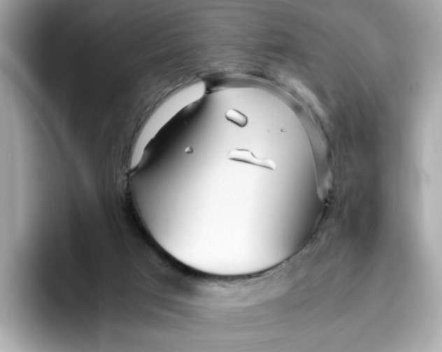 X0000096460017200802141541