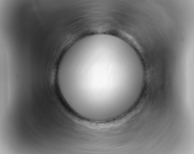 X0000096460018200802141541