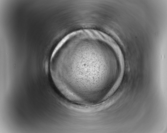 X0000096460019200802141541