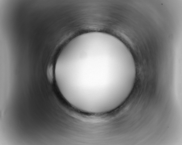 X0000096460020200802141541