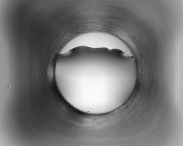 X0000096460021200802141541