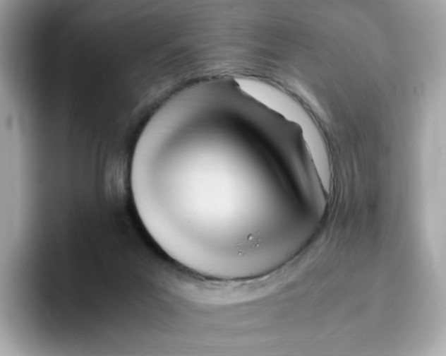 X0000096460023200802141541