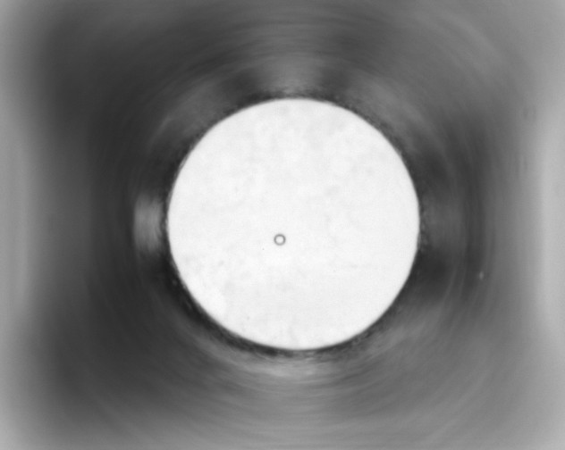 X0000096460024200802141541