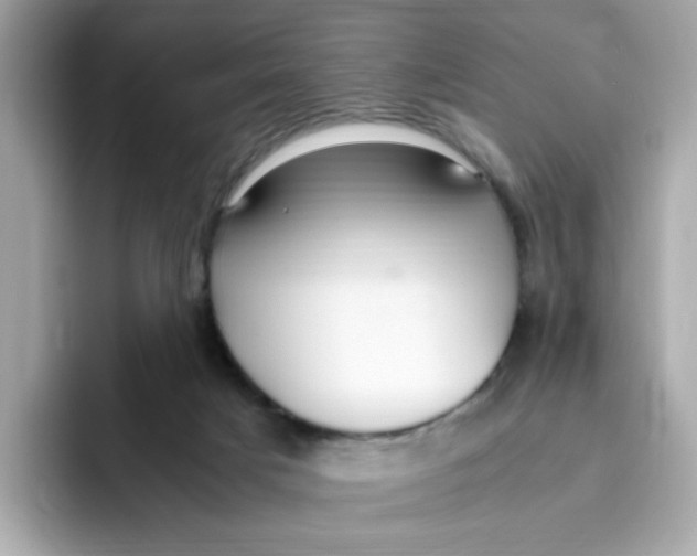X0000096460025200802141541