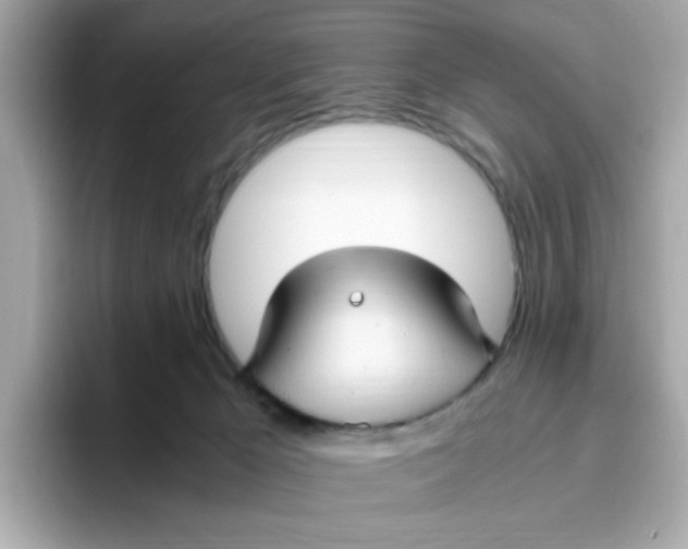 X0000096460029200802141541